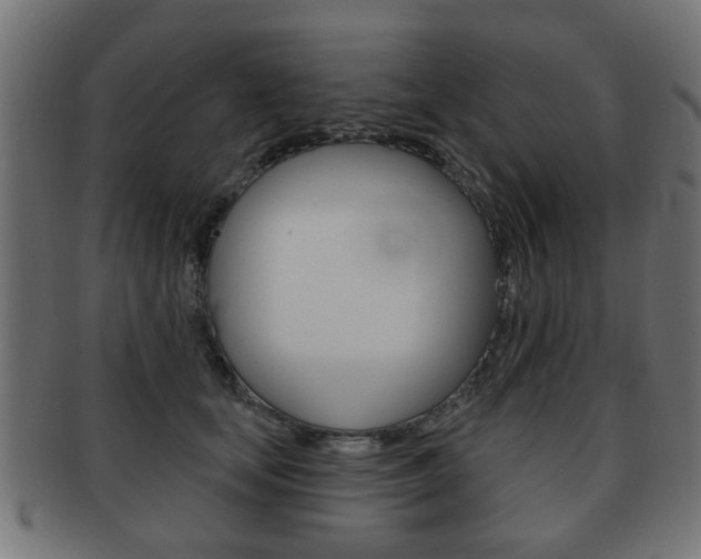 X0000091970659200709061133