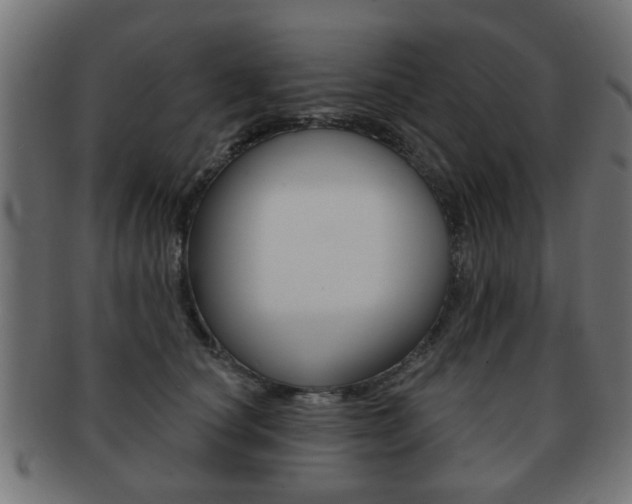 X0000091970660200709061133
