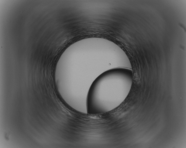 X0000091970662200709061133