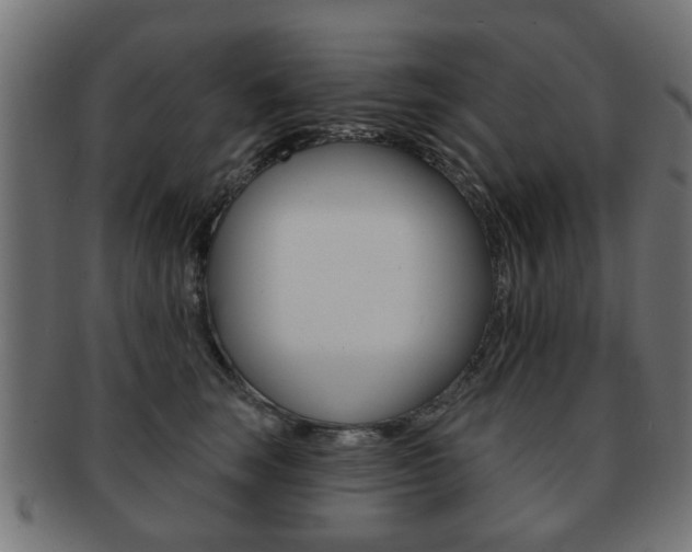 X0000091970663200709061133