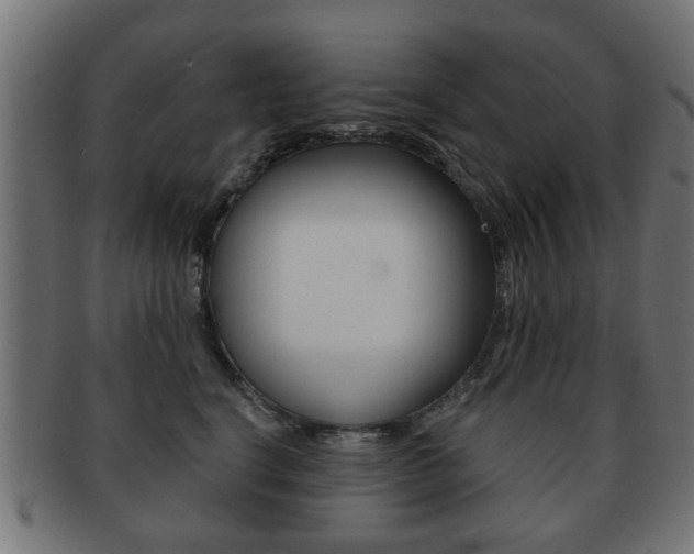 X0000091970664200709061133