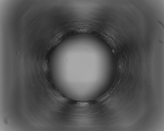 X0000091970665200709061133