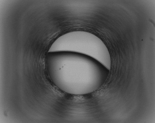 X0000091970666200709061133