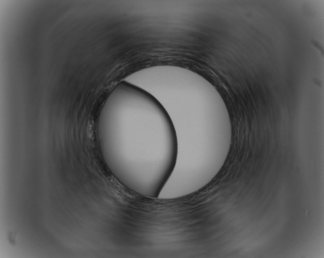 X0000091970667200709061133