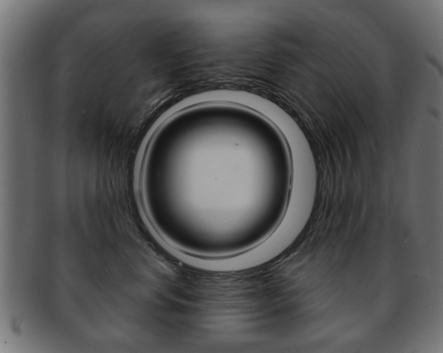 X0000091970668200709061133