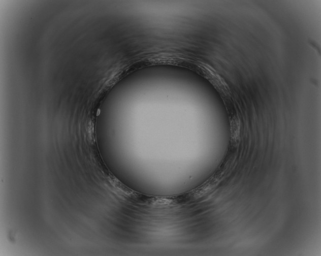 X0000091970669200709061133