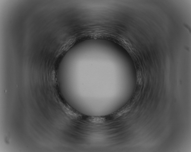 X0000091970670200709061133