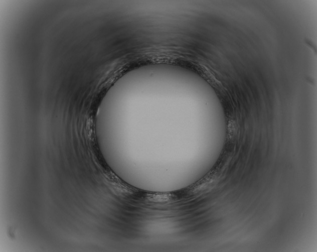 X0000091970671200709061133