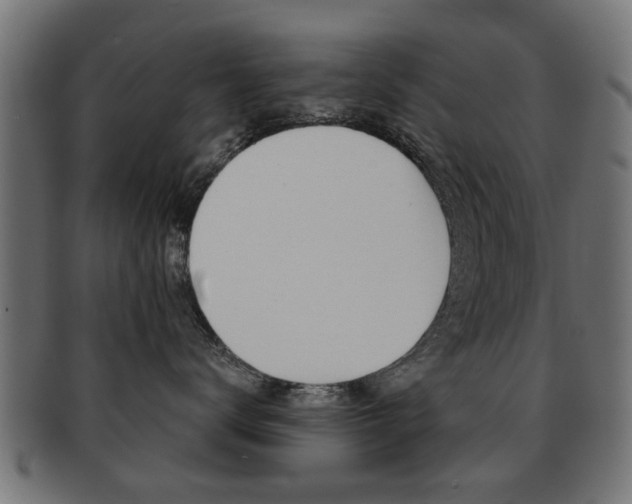 X0000091970672200709061133