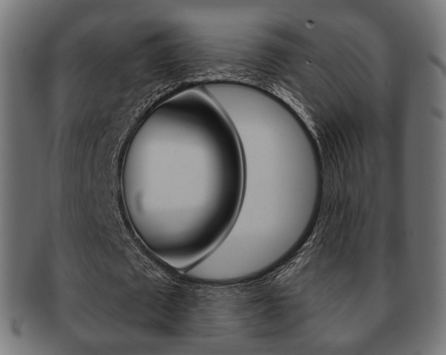 X0000091970673200709061132