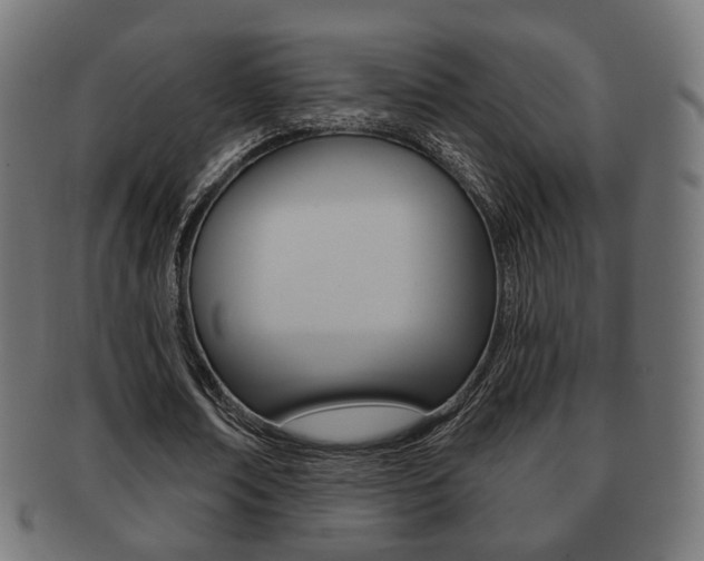 X0000091970674200709061132