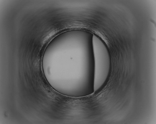 X0000091970675200709061132