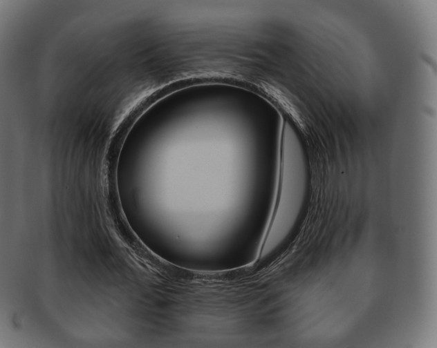 X0000091970676200709061132