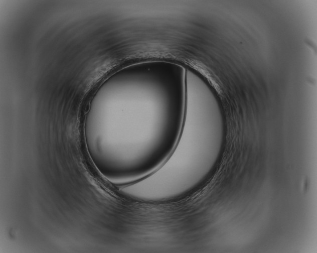 X0000091970677200709061132