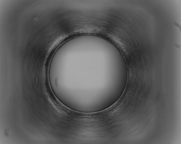 X0000091970678200709061132