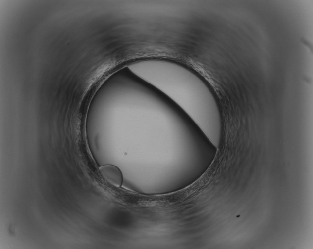 X0000091970679200709061132