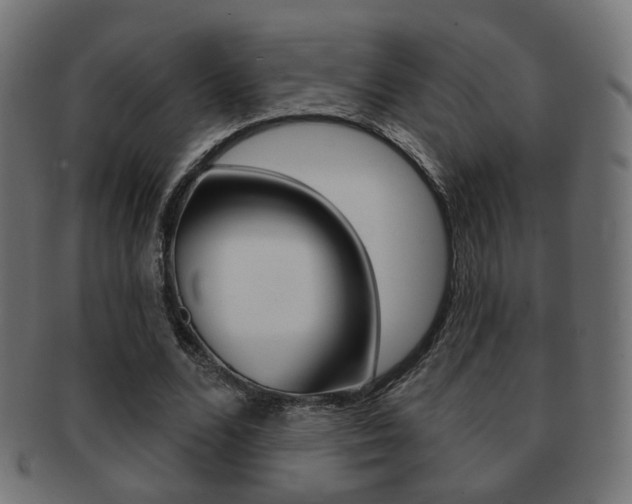 X0000091970680200709061132