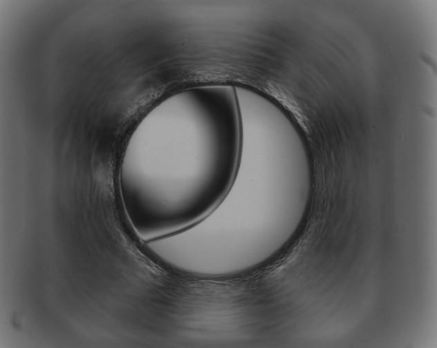 X0000091970681200709061132