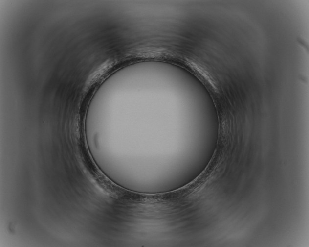 X0000091970682200709061132