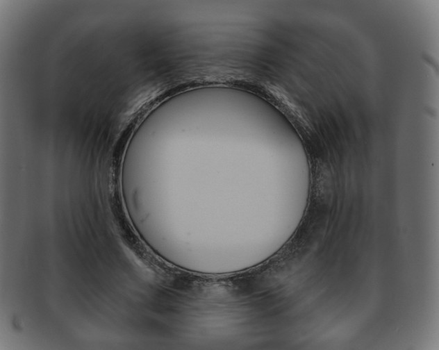 X0000091970683200709061132