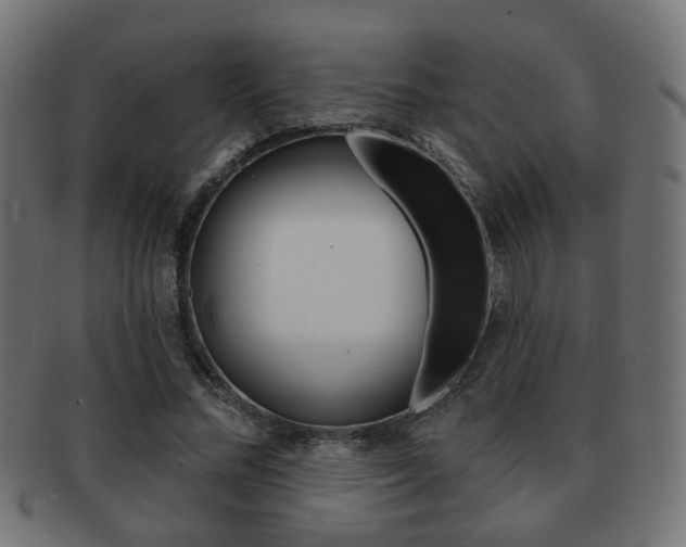 X0000091970684200709061132
