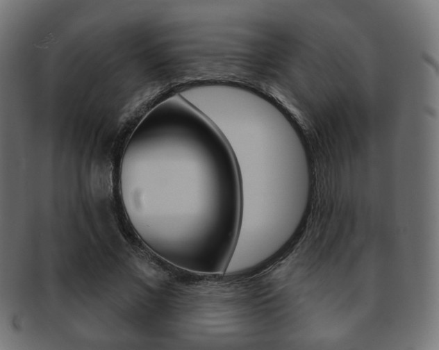 X0000091970685200709061132