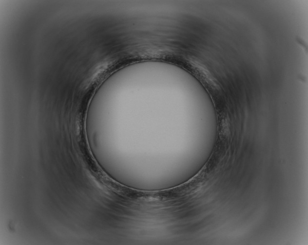 X0000091970687200709061132