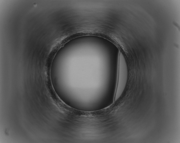X0000091970688200709061132