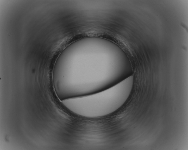X0000091970690200709061132
