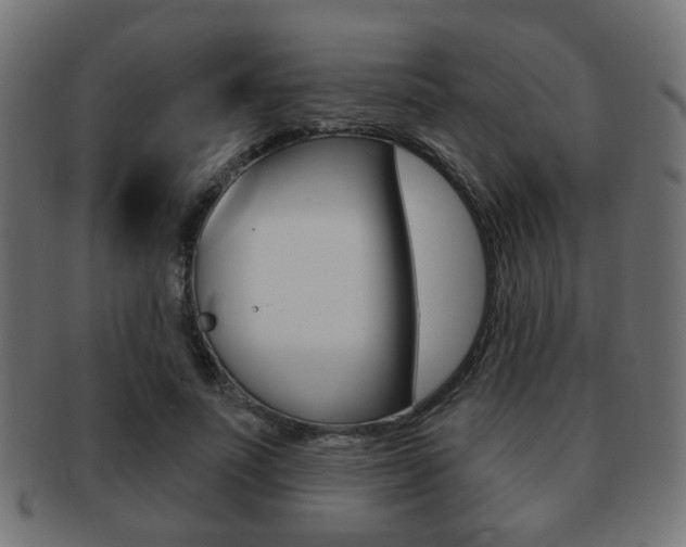 X0000091970691200709061132