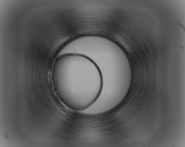 X0000091970692200709061132