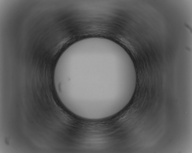 X0000091970693200709061132