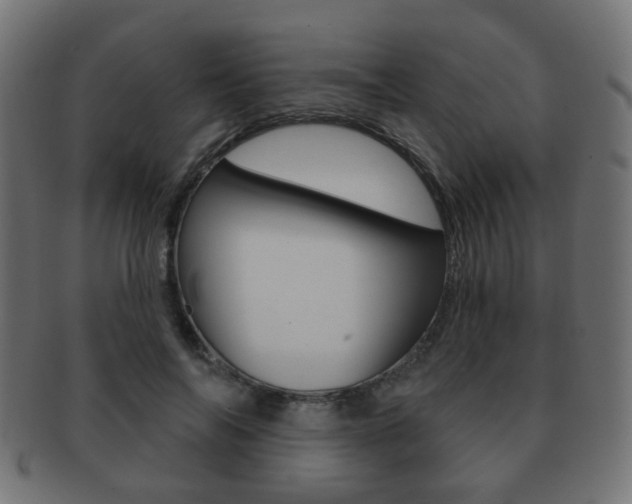X0000091970694200709061132