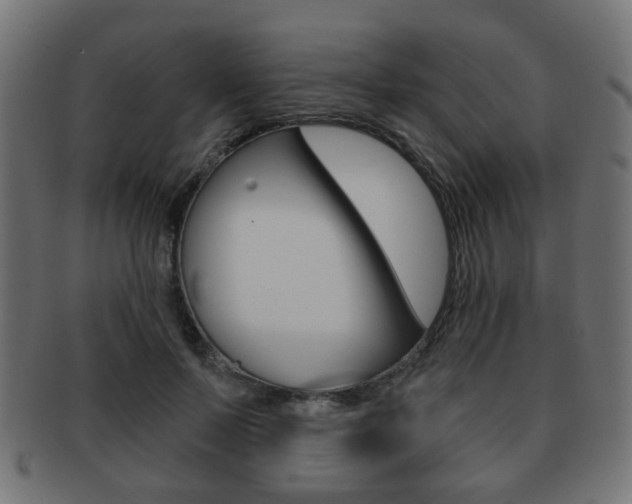 X0000091970695200709061132