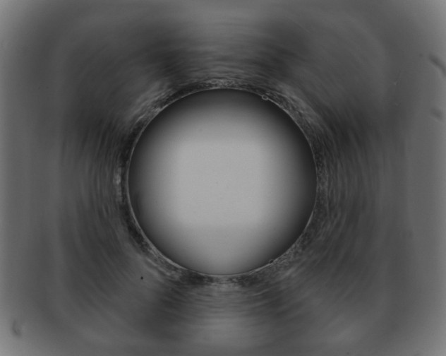 X0000091970696200709061132
