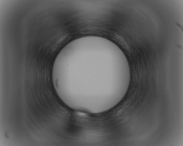 X0000091970697200709061132