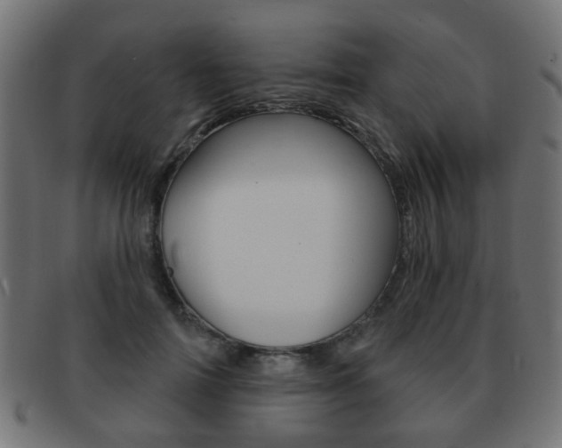 X0000091970698200709061132