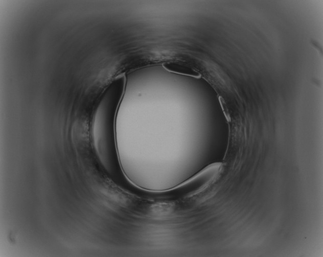 X0000091970700200709061132