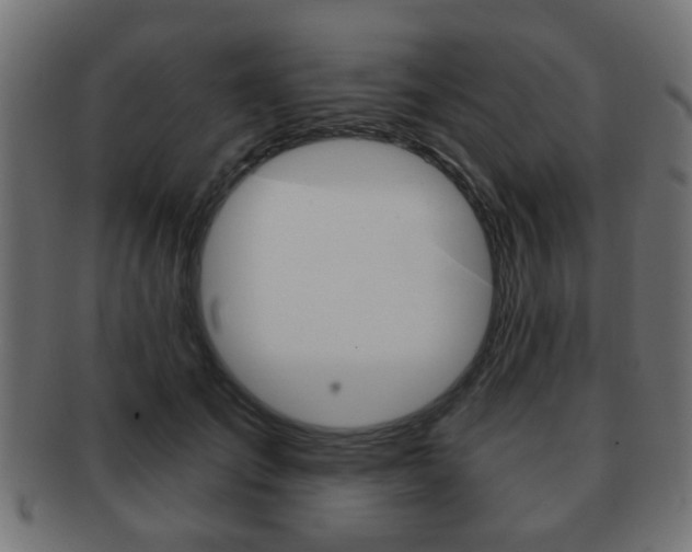 X0000091970701200709061132