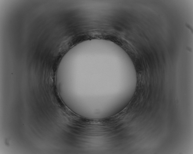 X0000091970702200709061132