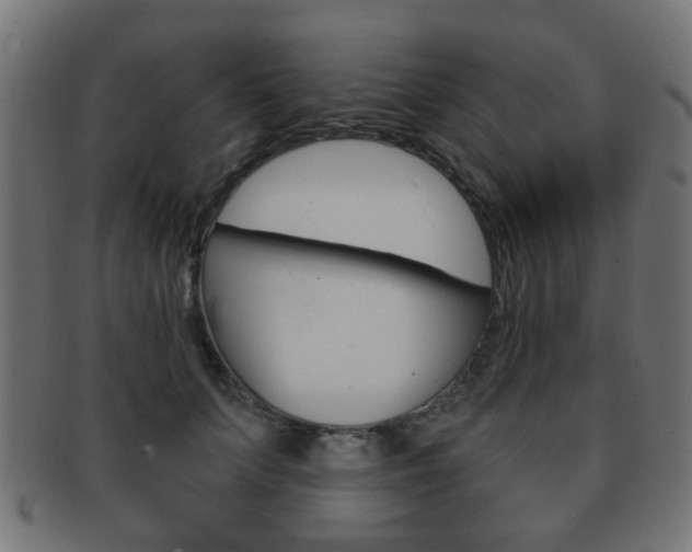 X0000091970703200709061132