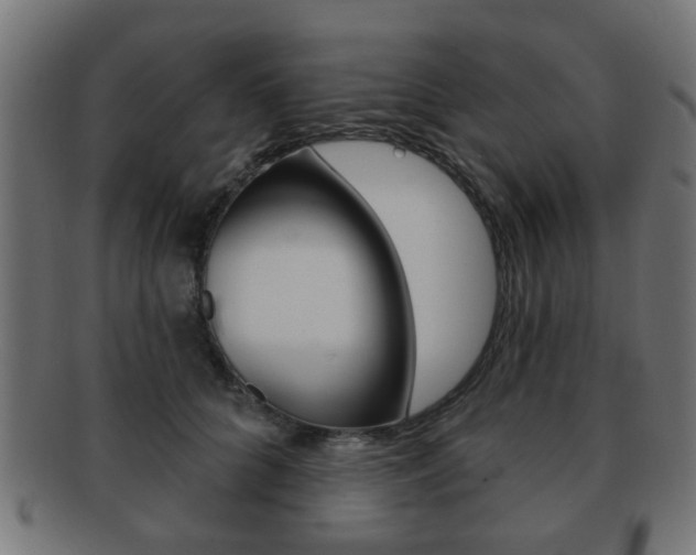 X0000091970704200709061132