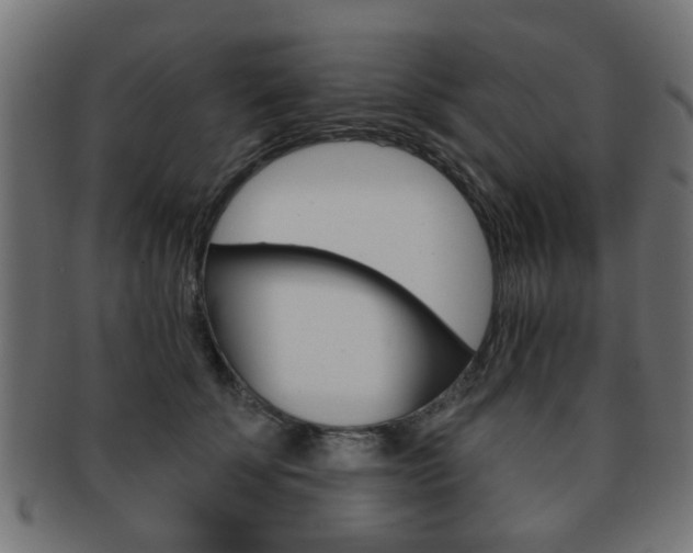 X0000091970707200709061132