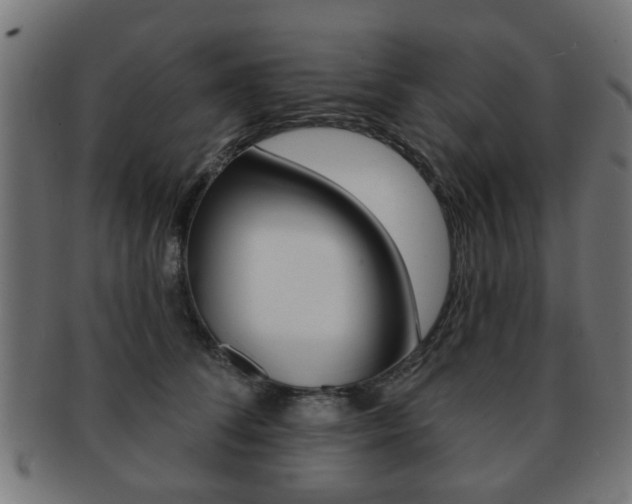 X0000091970708200709061132