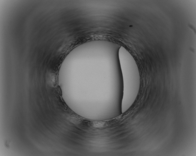 X0000091970709200709061132