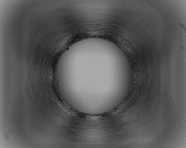 X0000091970710200709061132