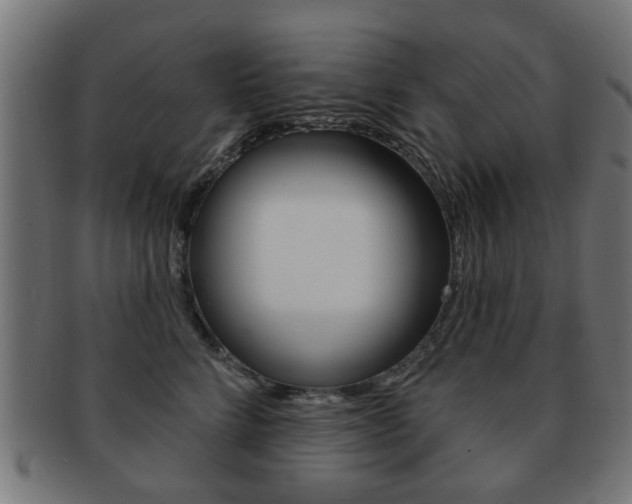X0000091970712200709061132