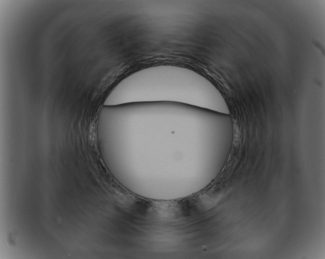 X0000091970713200709061132