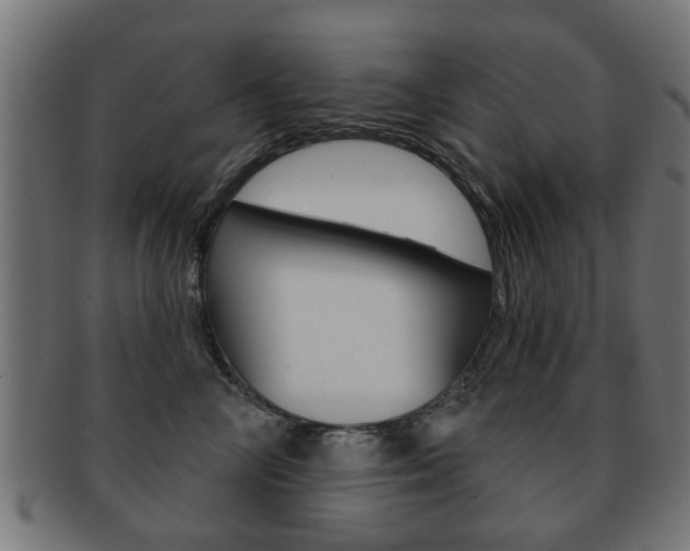 X0000091970714200709061132
