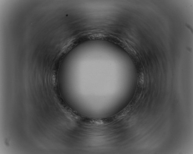 X0000091970715200709061132